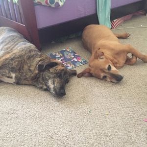 Meet your Posher, Caroline